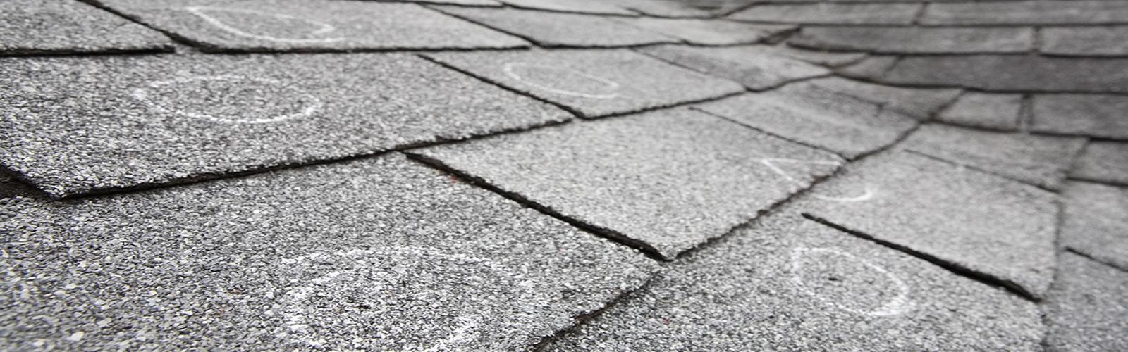 Big Dog Roofing Images