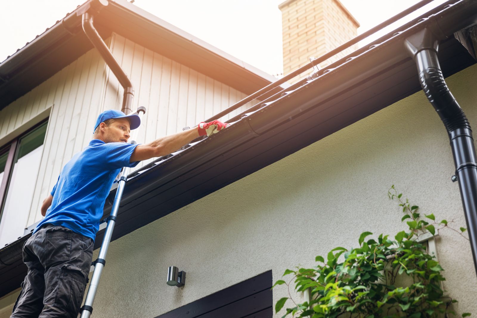 Big Dog Roofing Images