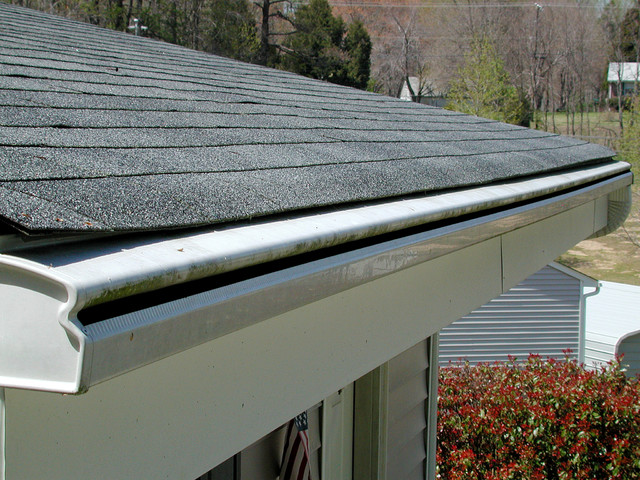 Big Dog RoofingImages
