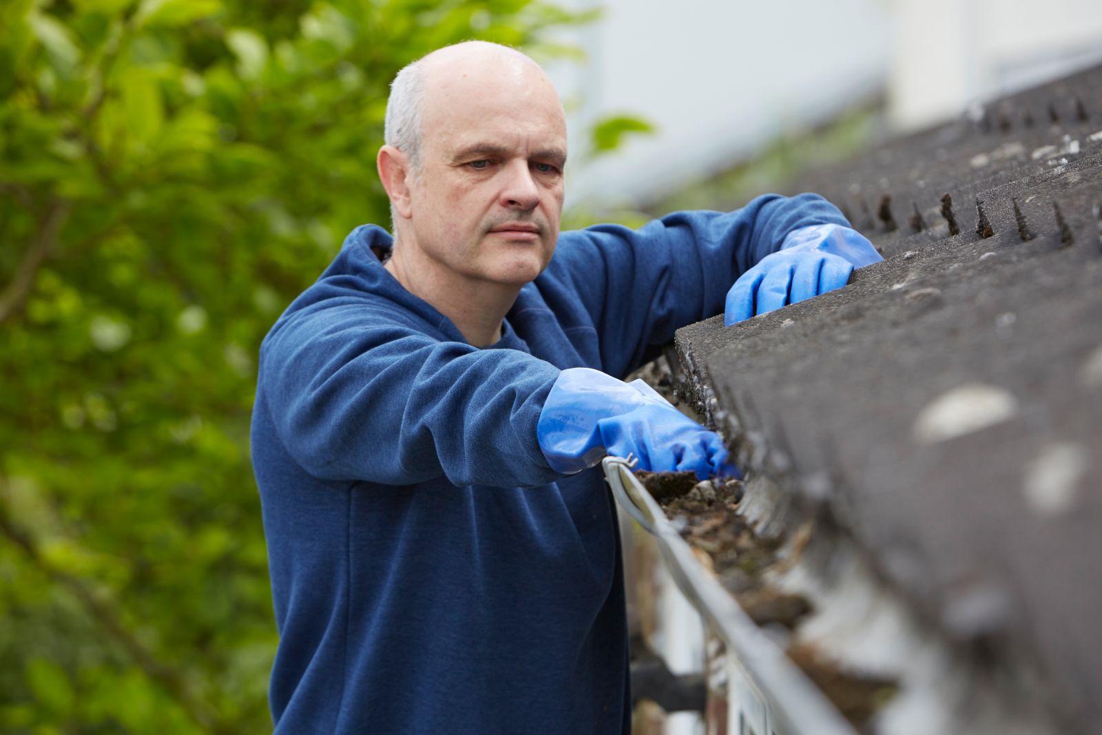 Big Dog Roofing Images