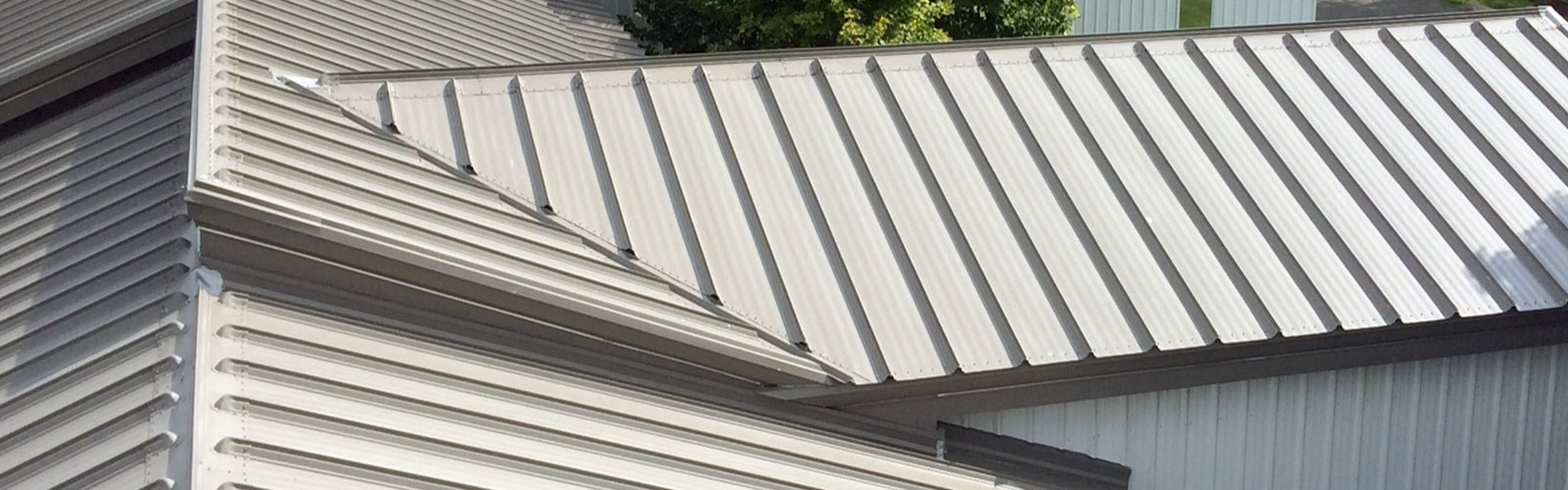Big Dog Roofing Images
